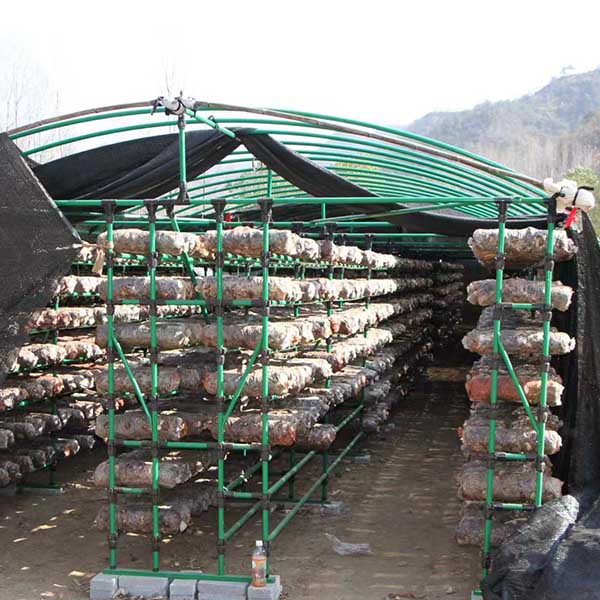 Mushroom Shelving