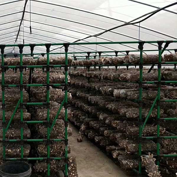 Mushroom Shelving