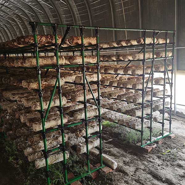 Mushroom Shelving